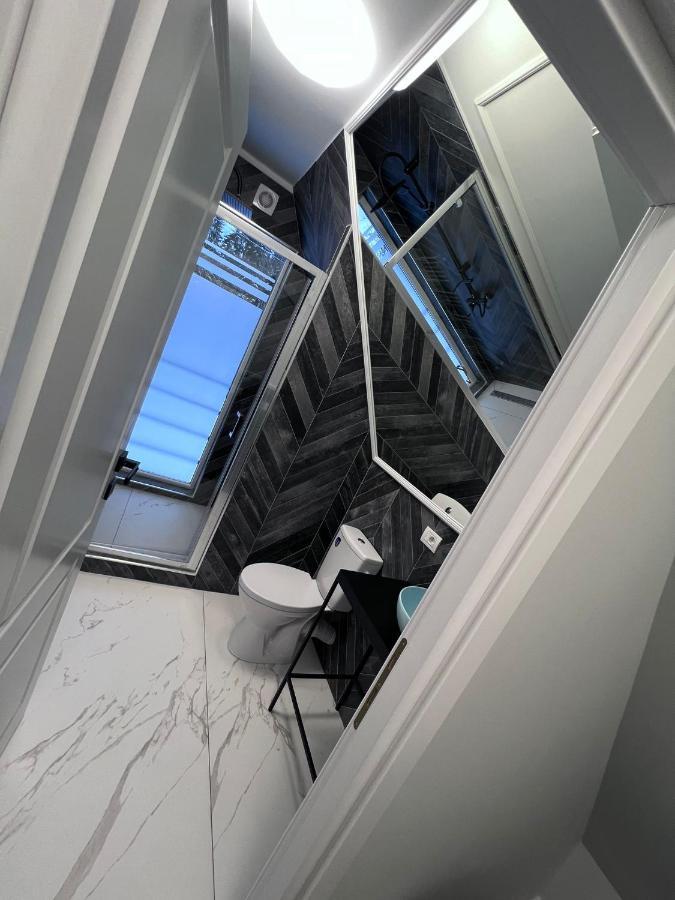 Doinita House Βίλα Borşa Εξωτερικό φωτογραφία