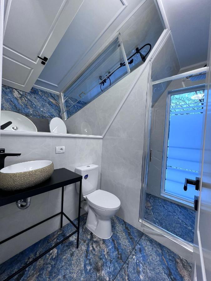 Doinita House Βίλα Borşa Εξωτερικό φωτογραφία