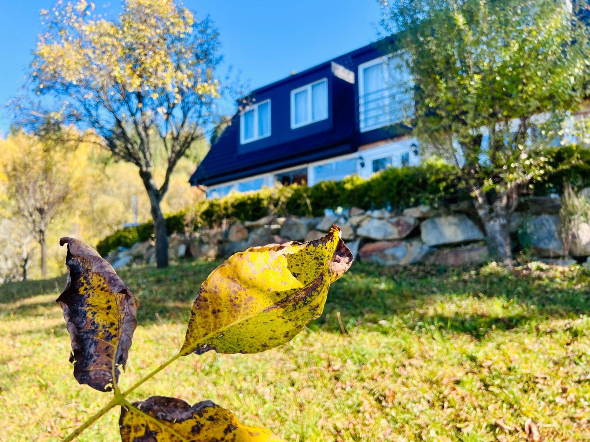 Doinita House Βίλα Borşa Εξωτερικό φωτογραφία